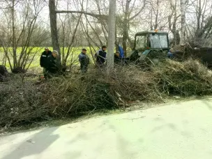 Вырубка кустарника